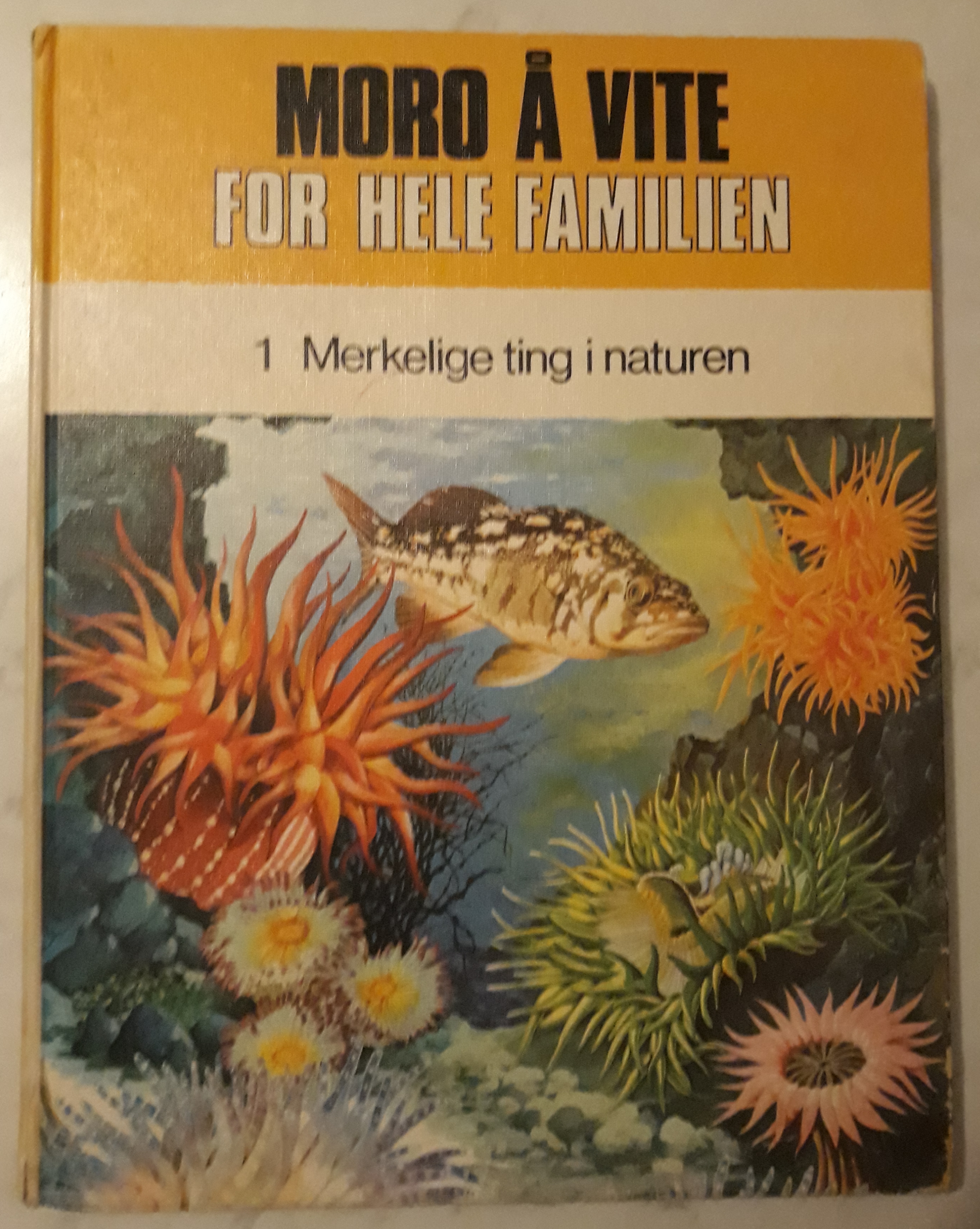 Moro å vite for hele familien. 1. Merkelige ting i naturen