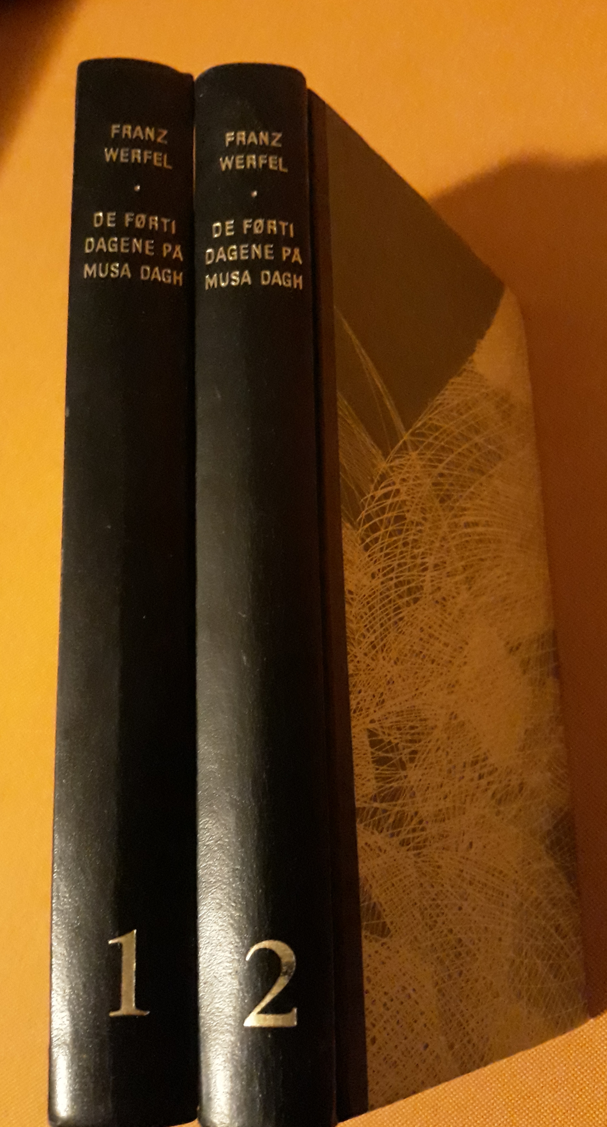De førti dagene på Musa Dagh. 1. og 2.