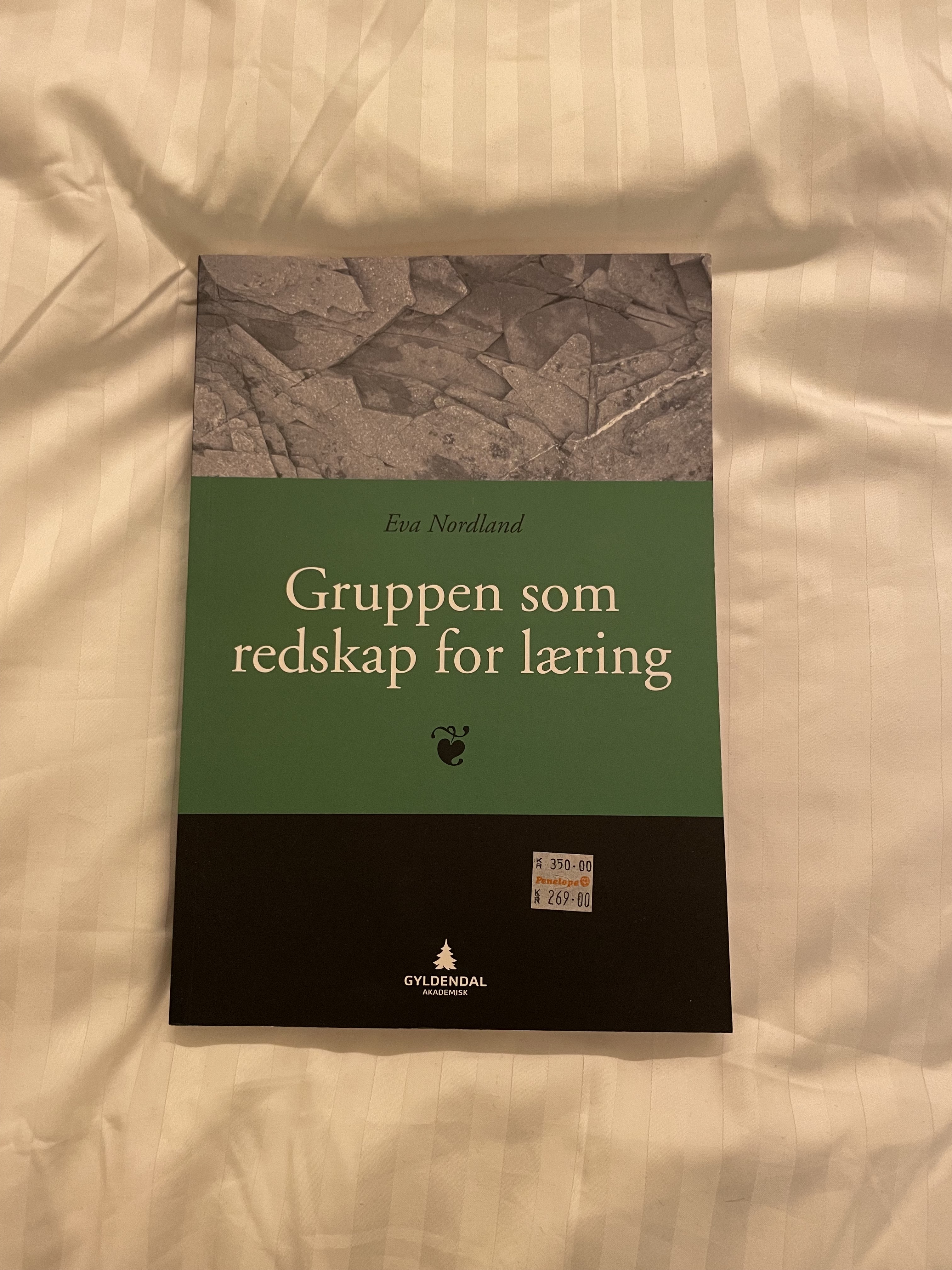 Gruppen som redskap for læring