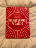 Barnevernspedagog: en grunnbok