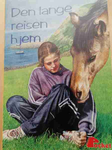 Den Lange Reisen Hjem