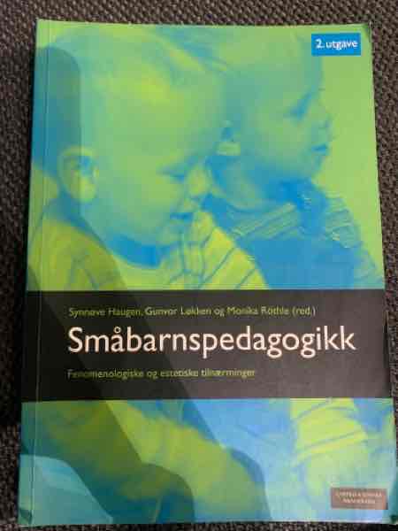 Småbarnspedagogikk