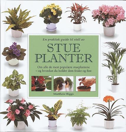 En praktisk guide til stell av stueplanter