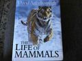 The Life of Mammals