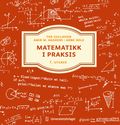 Matematikk i praksis