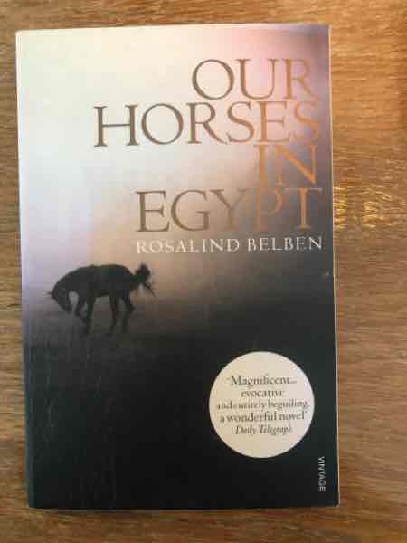 Our horses in Egypt