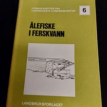 Ålefiske i ferskvann