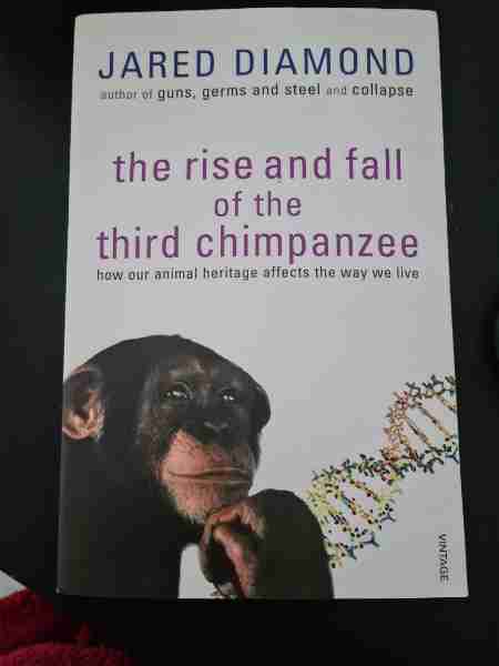 The rise and fall of the third chimpanzee