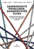 Sammensatte problemer, sammenvevde tiltak