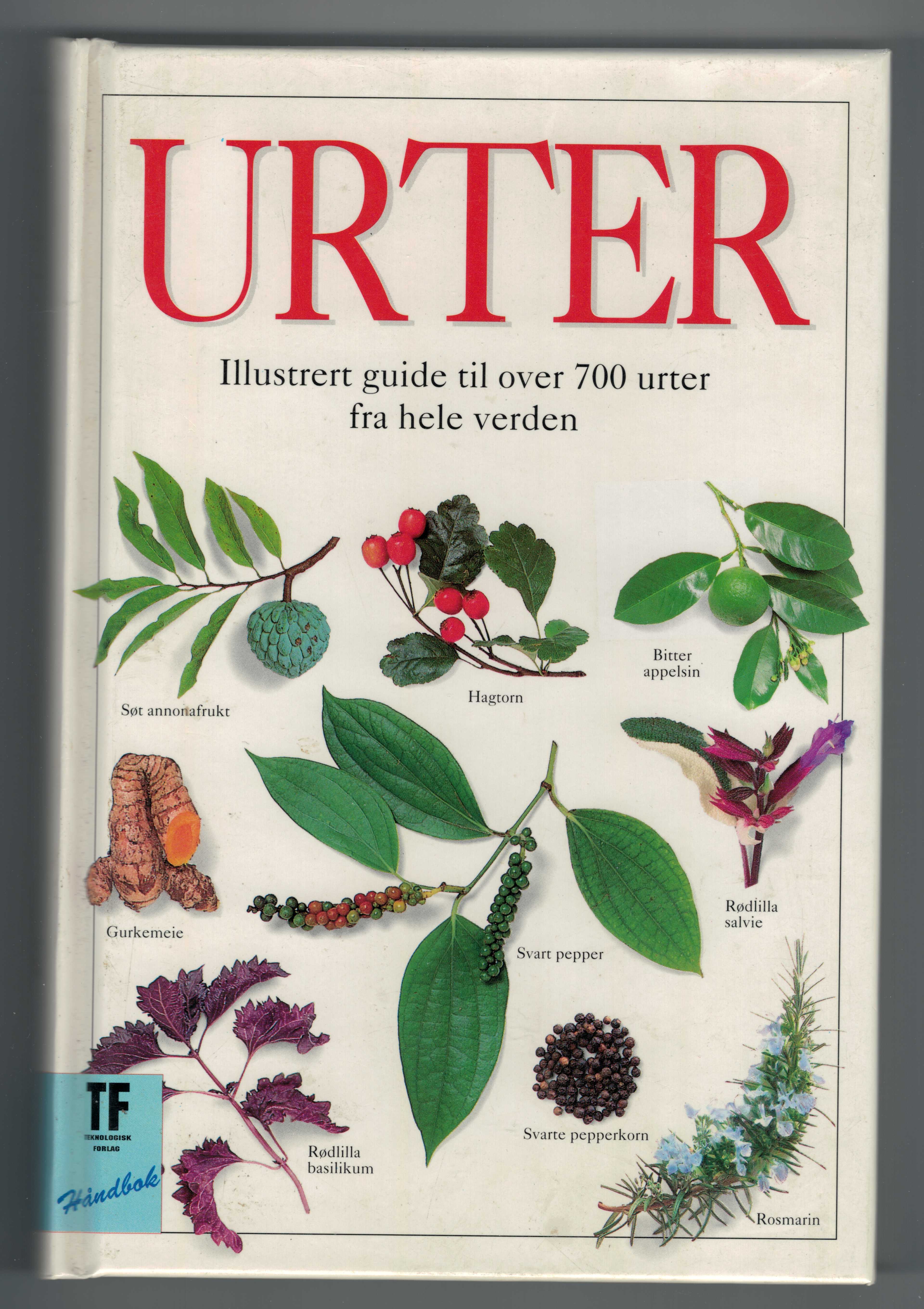 Urter: illustrert guide til over 700 urter fra hele verden
