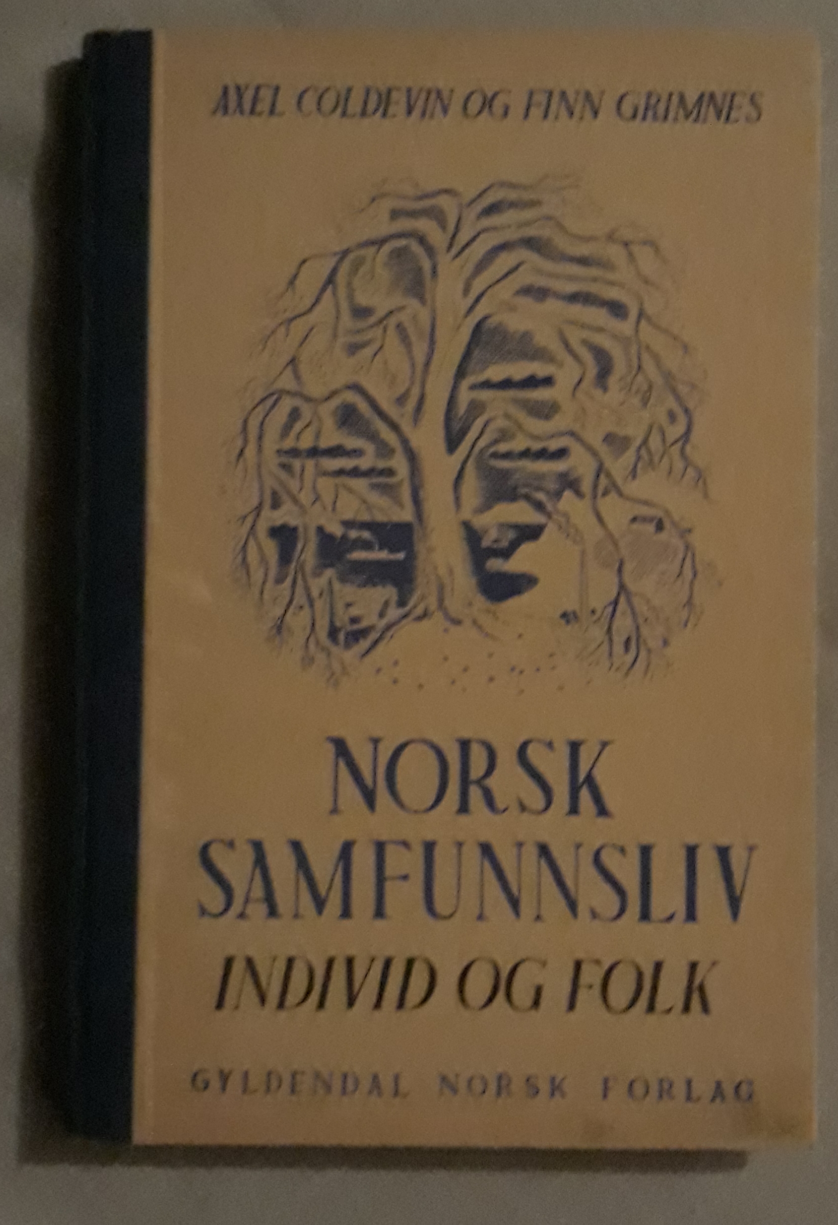 Norsk samfunnsliv. Individ og folk