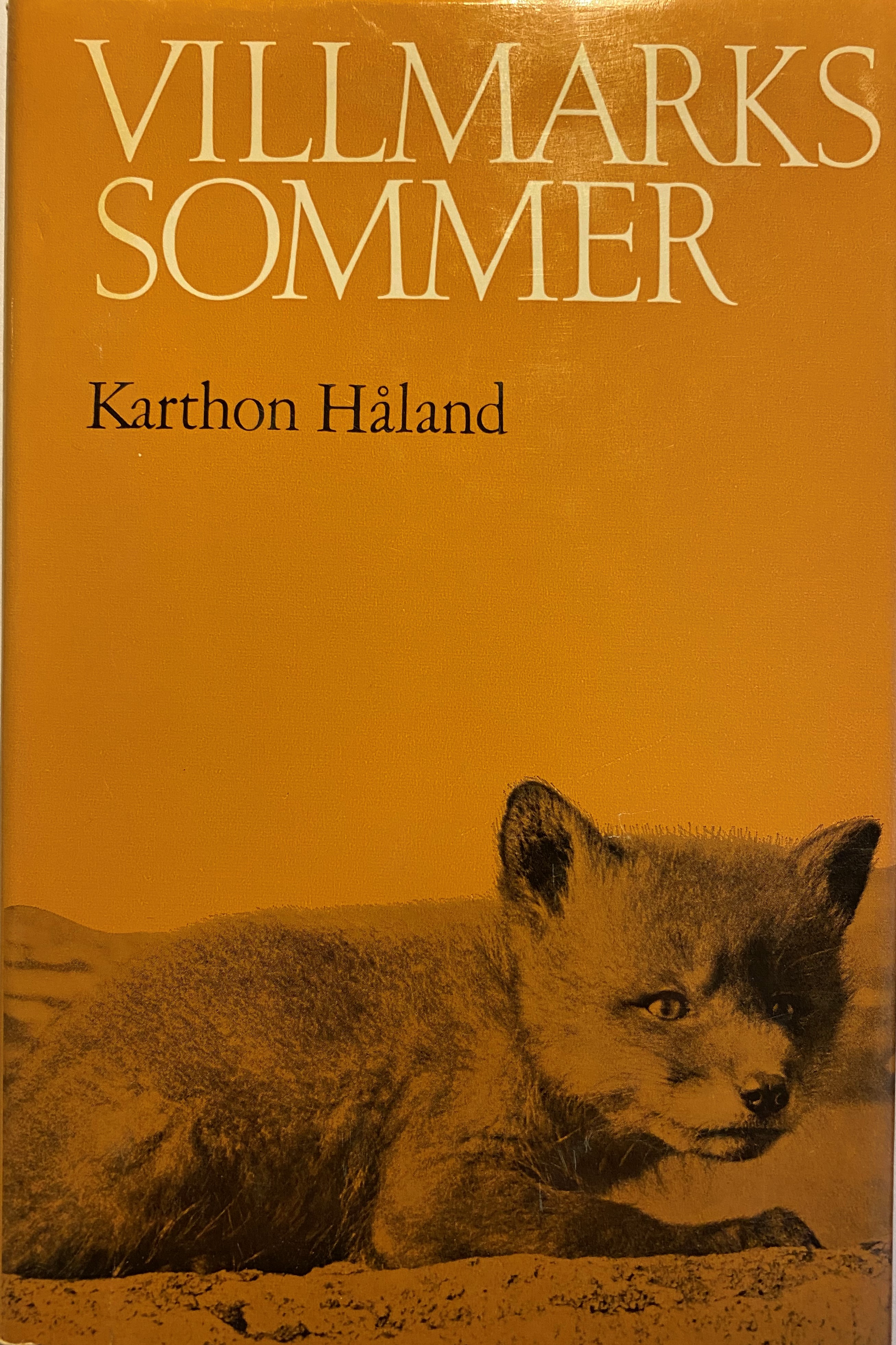 Villmarks sommer