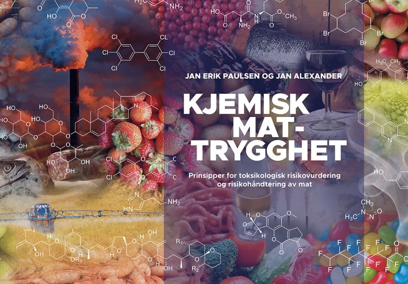 Kjemisk mattrygghet