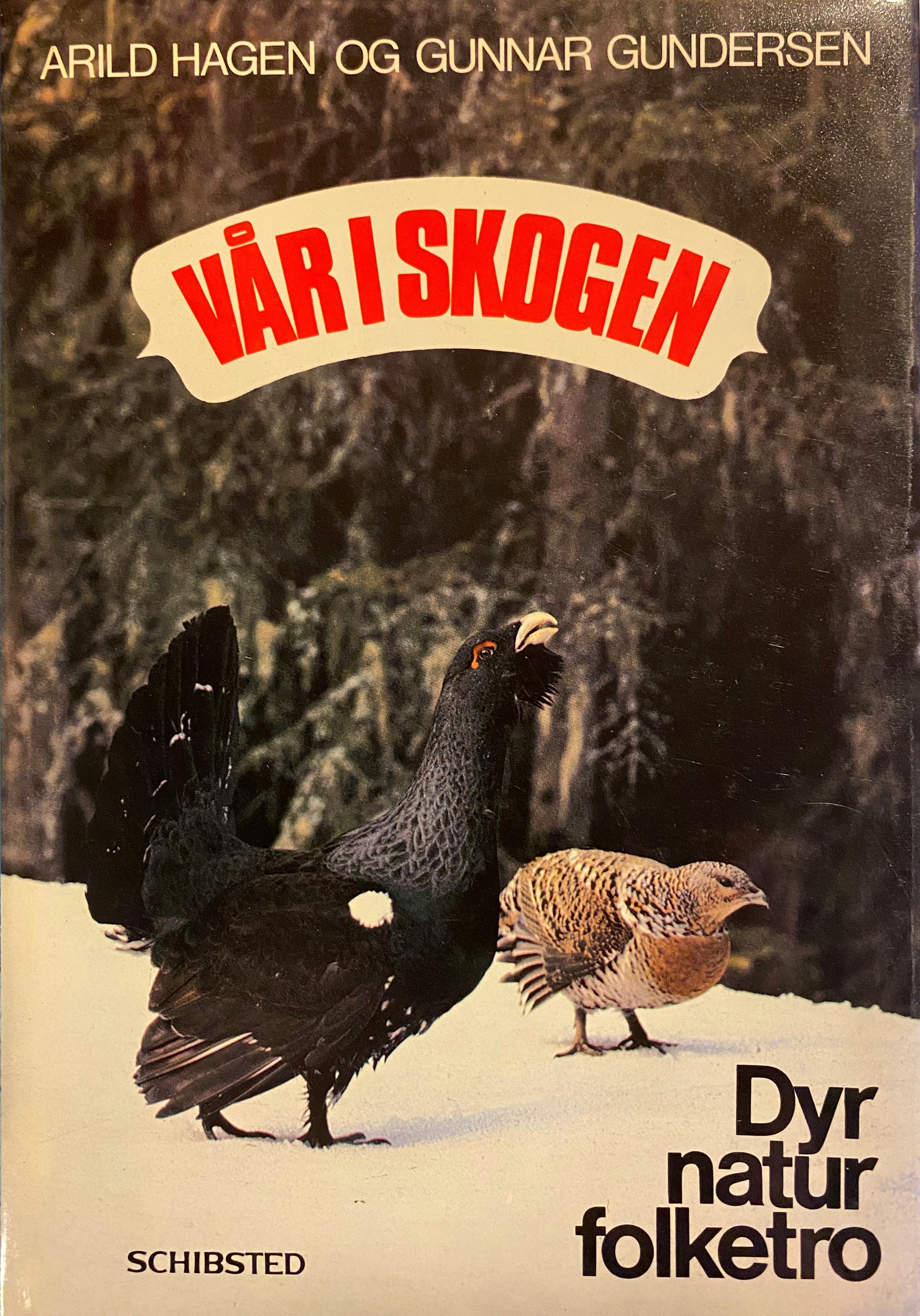 Vår i skogen