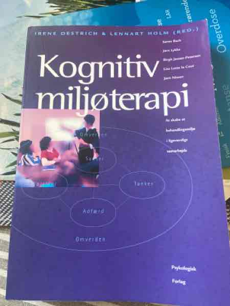 Kognitiv miljøterapi 