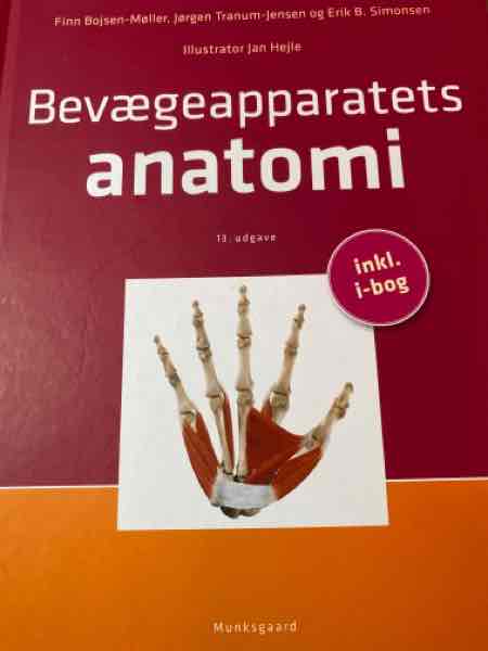 Bevægeapparatets anatomi