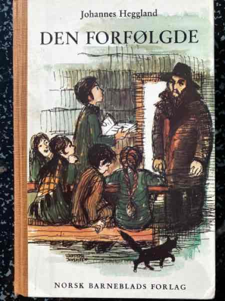 Ddn forfølgde