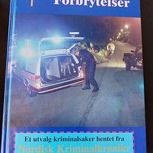 Norske forbrytelser