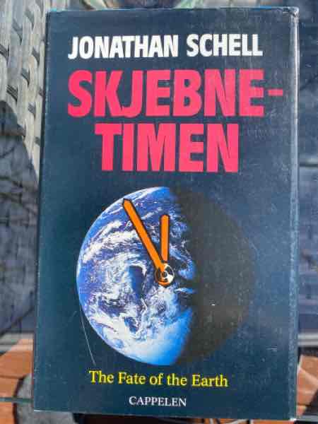 SKJEBNETIMEN
