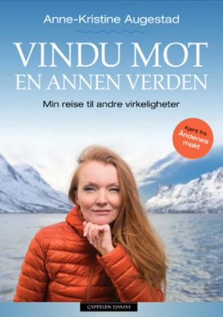 Vindu mot en annen verden