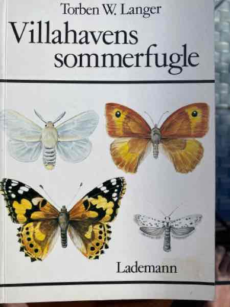 Villahavens sommerfugle