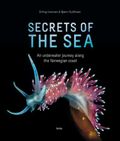 Secrets of the sea