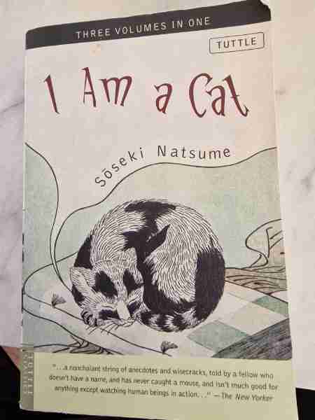 I Am a Cat