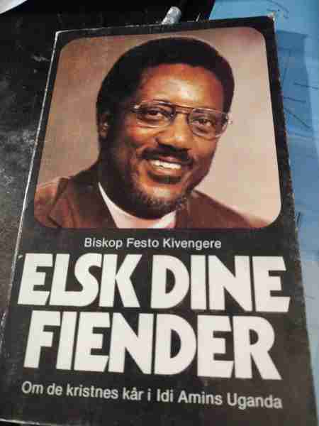 Elsk Fine Fiender