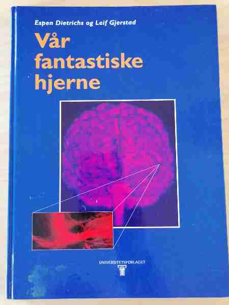 Vår fantastiske hjerne 