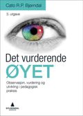 Det vurderende øyet 