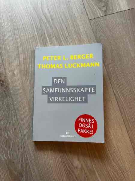 Den samfunnsskapte virkelighet