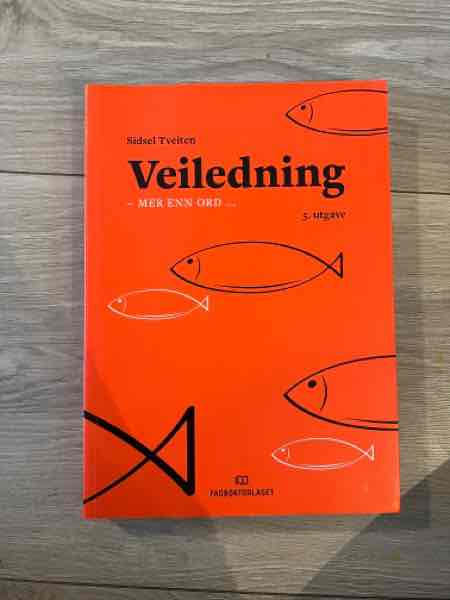 Veiledning mer en ord 
