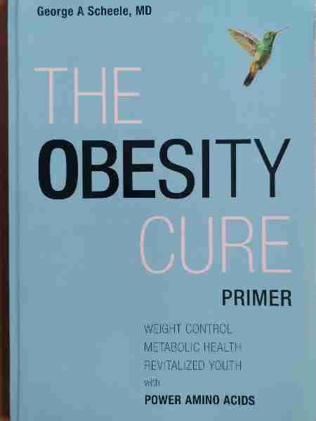 The Obesity Cure Primer