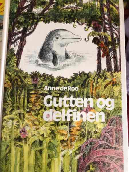 Gutten og delfinen