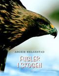 Fugler i skogen
