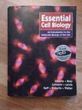 Essential cell biology 