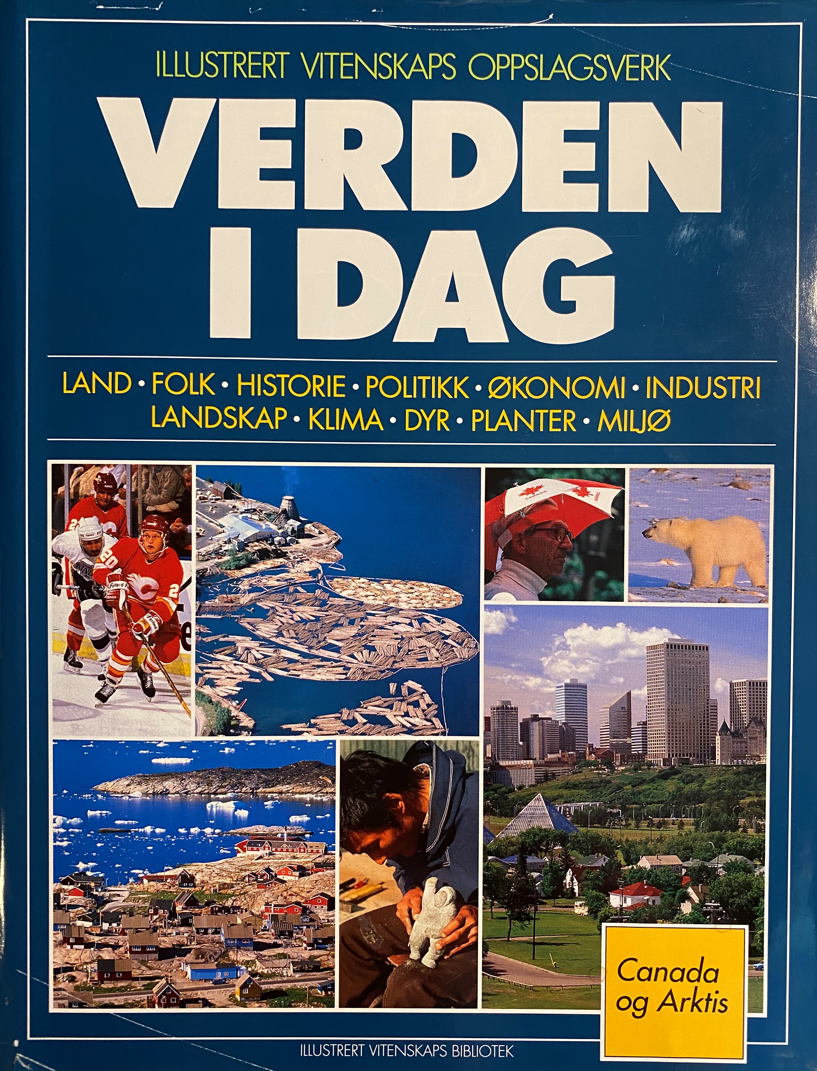 Verden i dag