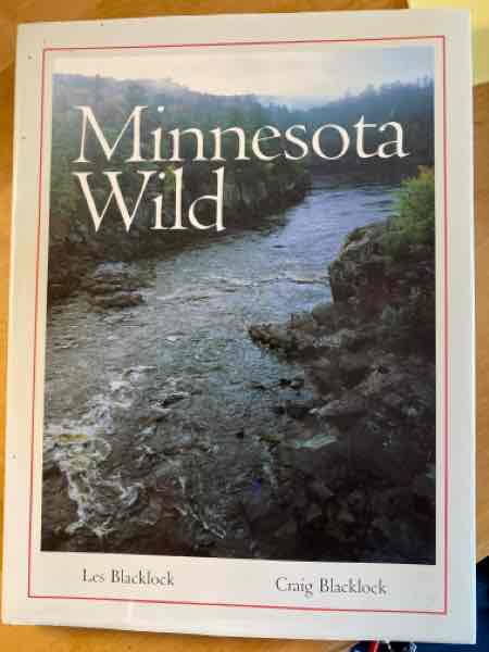MINNESOTA WILD