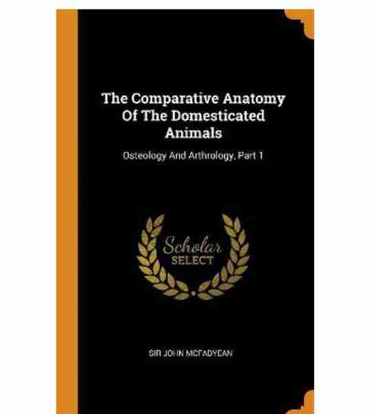 The Comparative Anatomy Of The Domesticated Animals