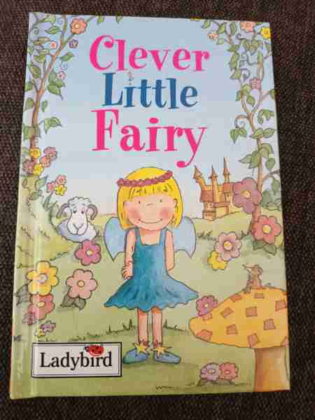 Clever Little Fairy