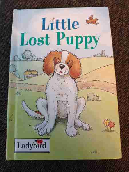 Little Lost Puppy