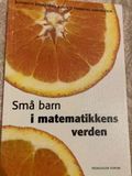 Små barn i matematikkens verden