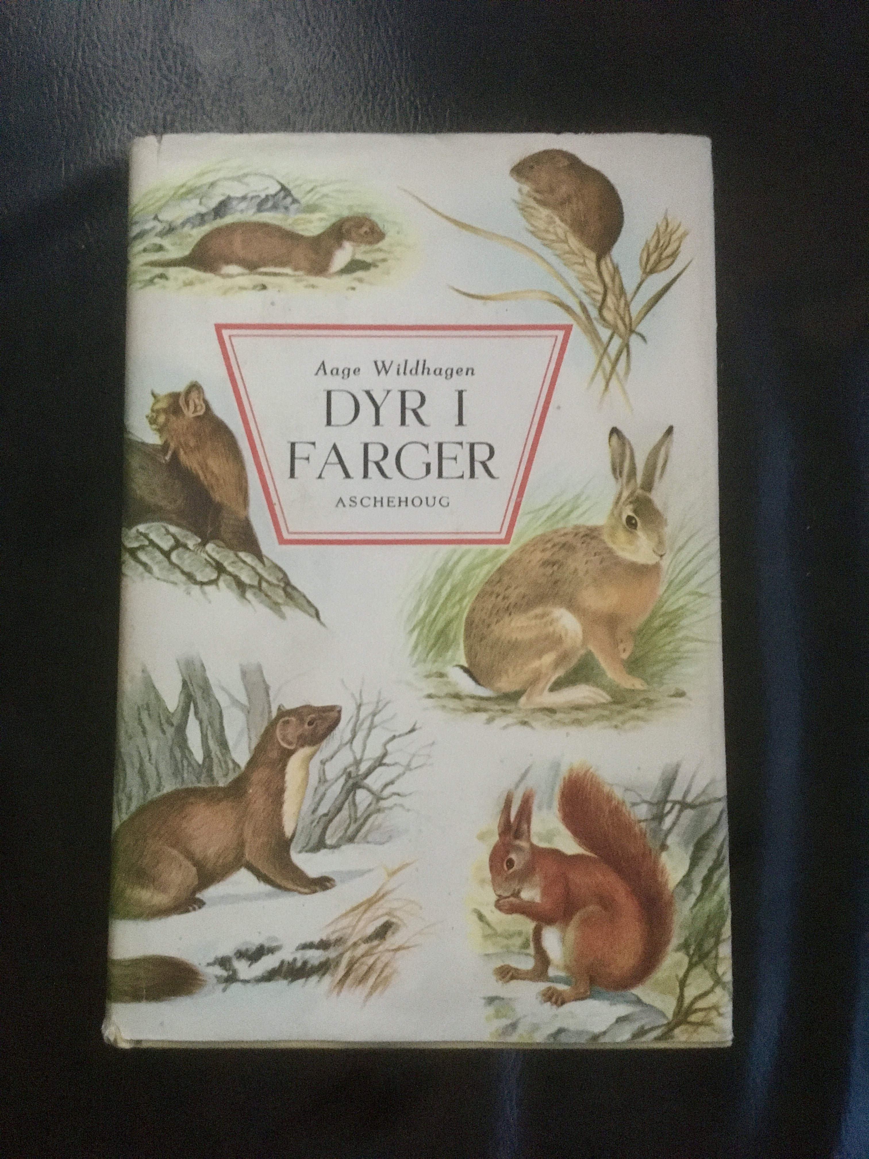 Dyr i farger - Padder, krypdyr, pattedyr