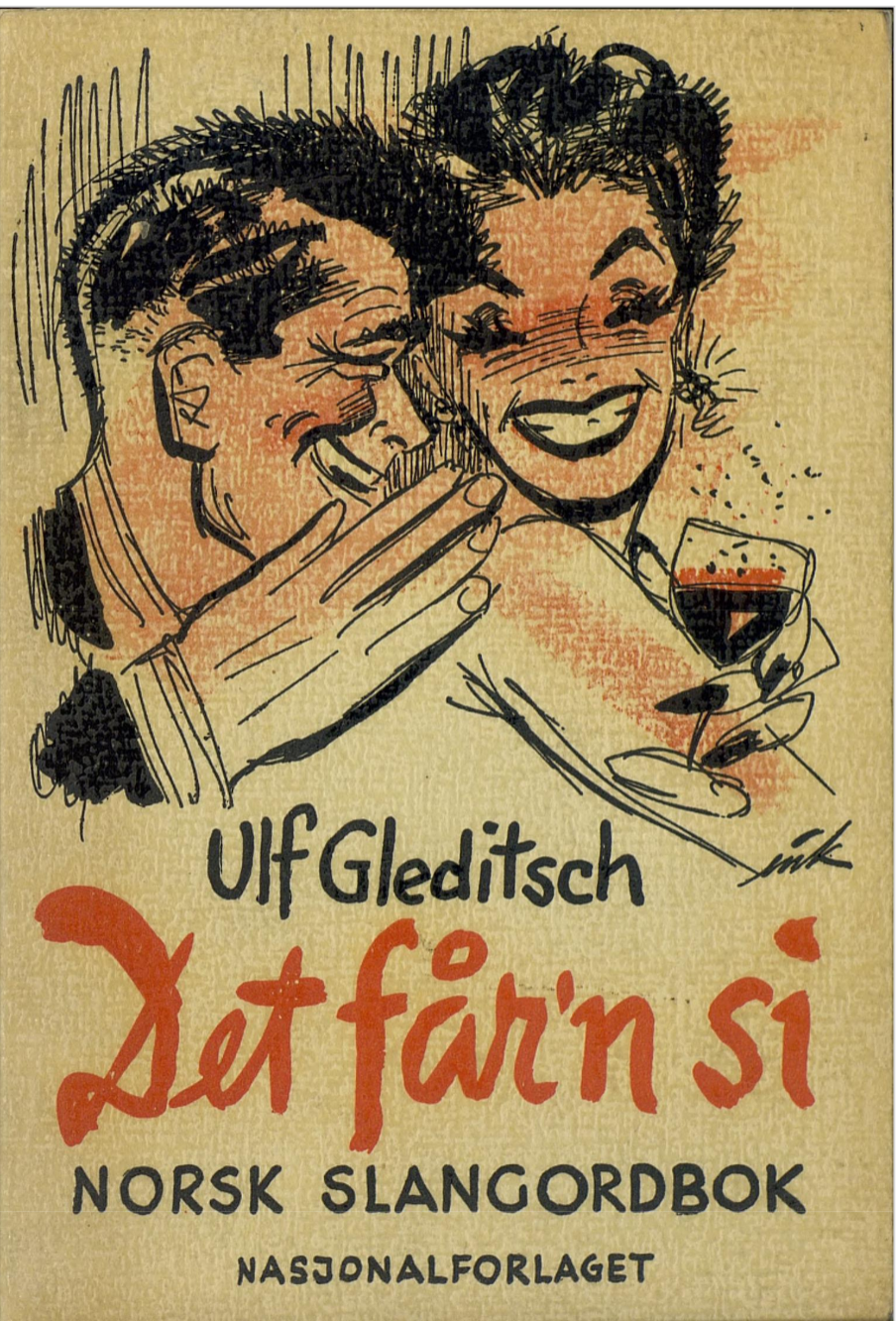 Det får'n si : norsk slangordbok