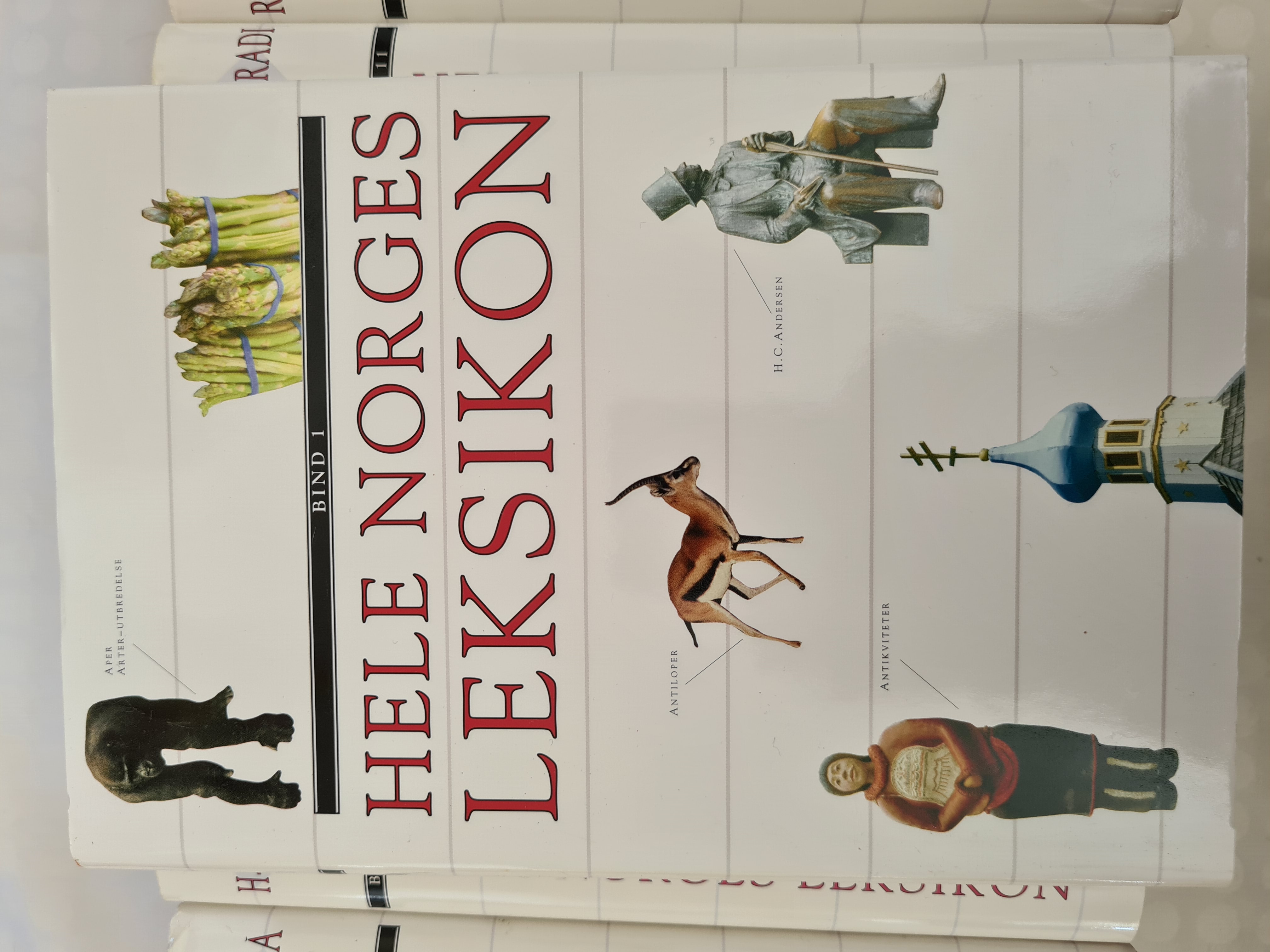 Hele Norges leksikon, Komplett, Bind 1 - 15 