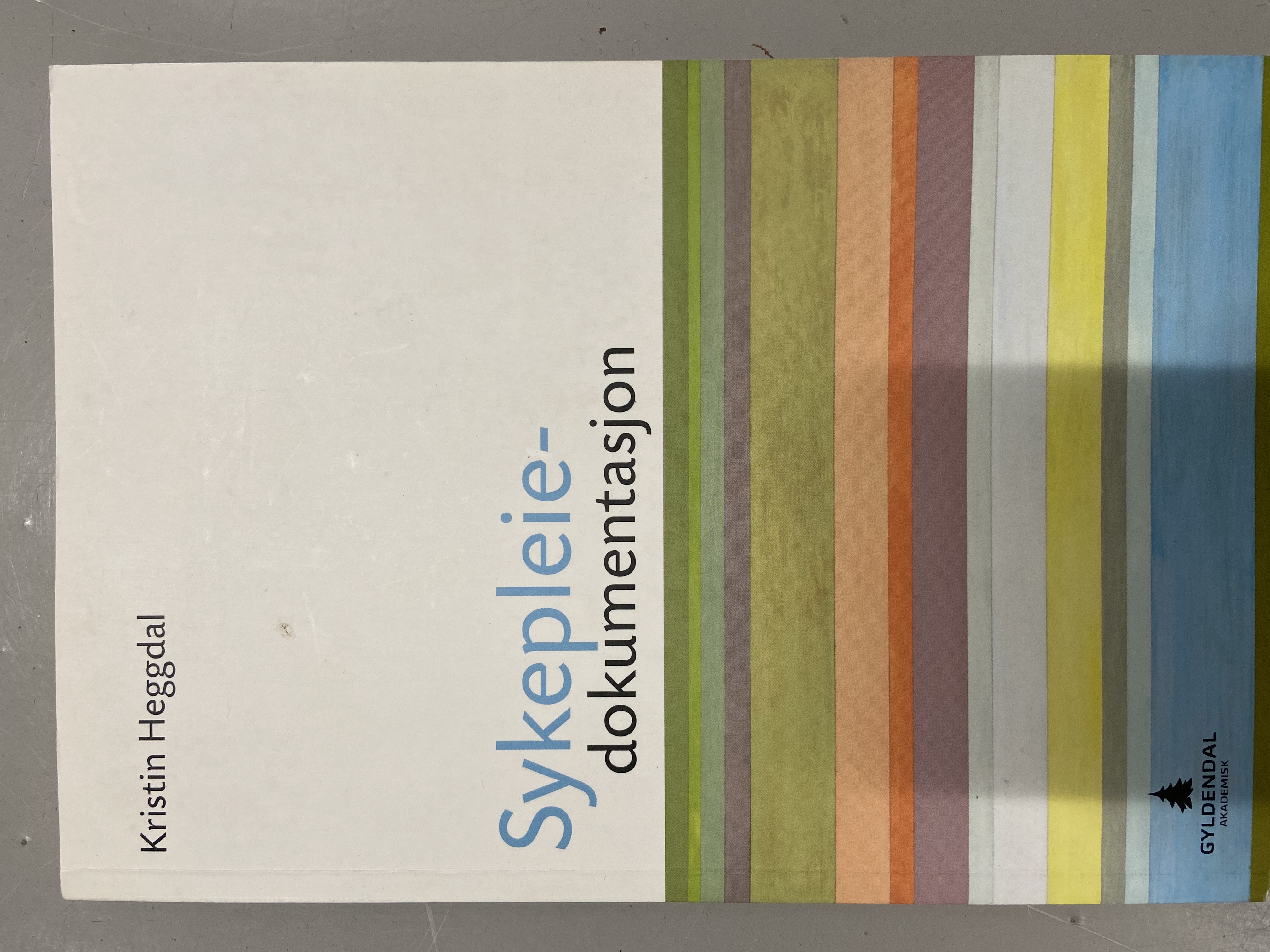 Sykepleie-dokumentasjon