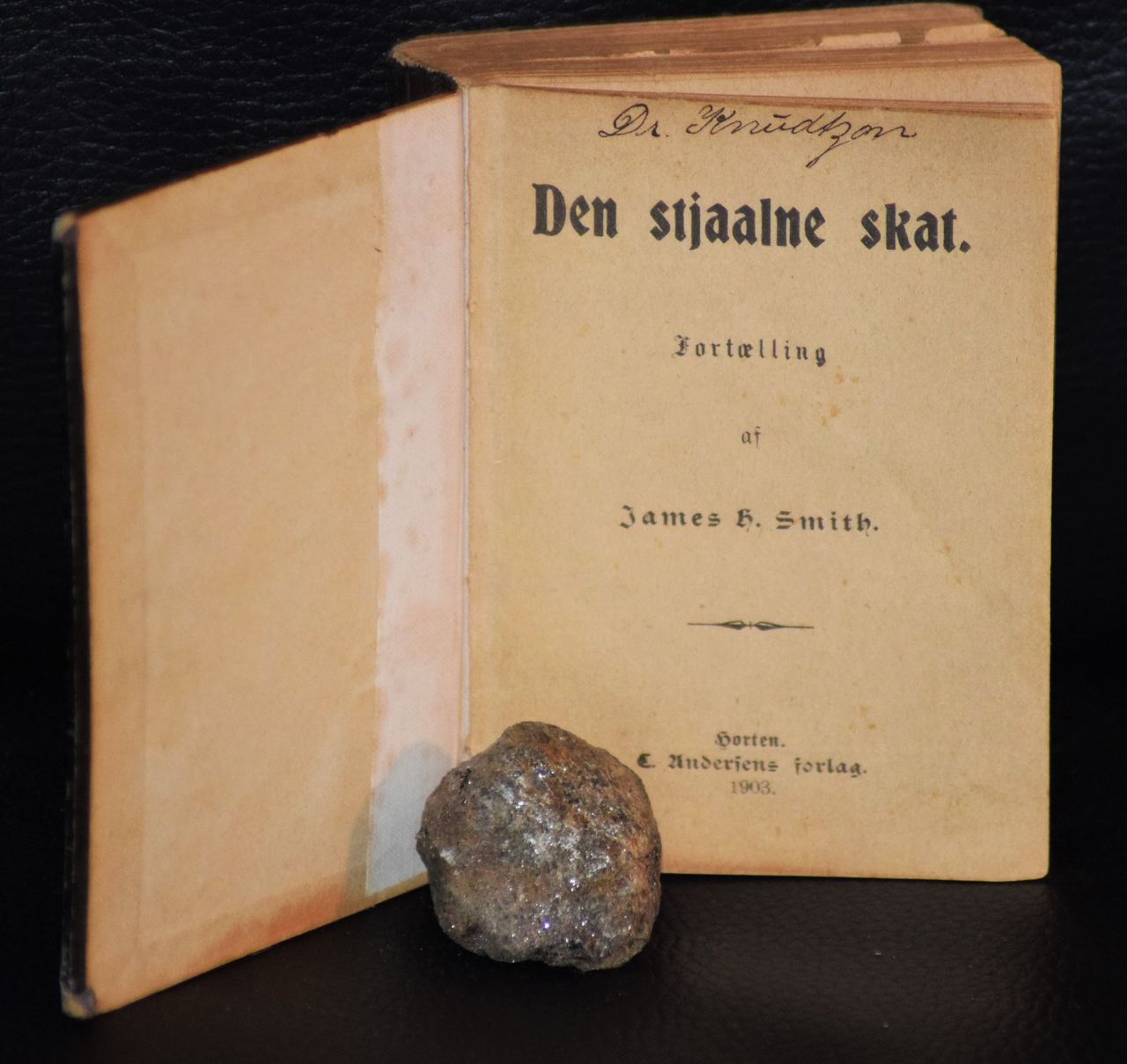 Den stjaalne skat
