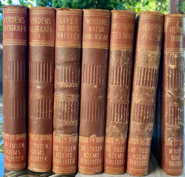 De Tusen Hjems Bibliotek