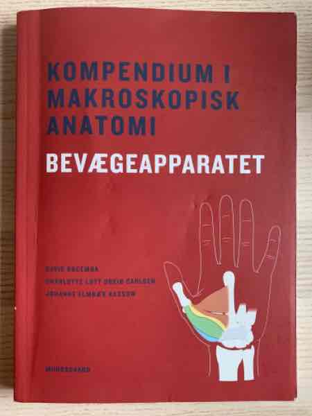 Kompendium i makroskopisk anatomi