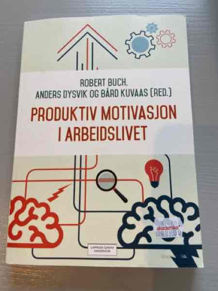 Produktiv motivasjon i arbeidslivet